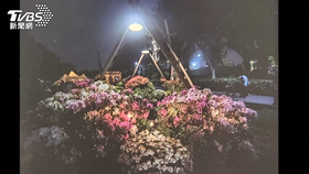 萬金杜鵑攝影展! 6/7前市府大廳展杜鵑美