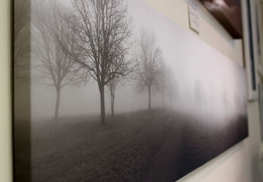 "The Croft, Early Morn" greyscale canvas giclée print, low level mist, silhouetting trees against light background