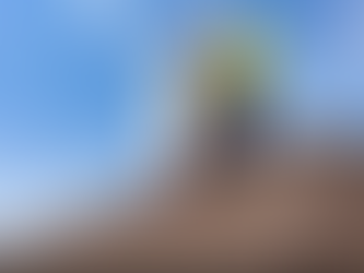 What Does a Structural Engineer Do for Home Inspection? A Complete Guide