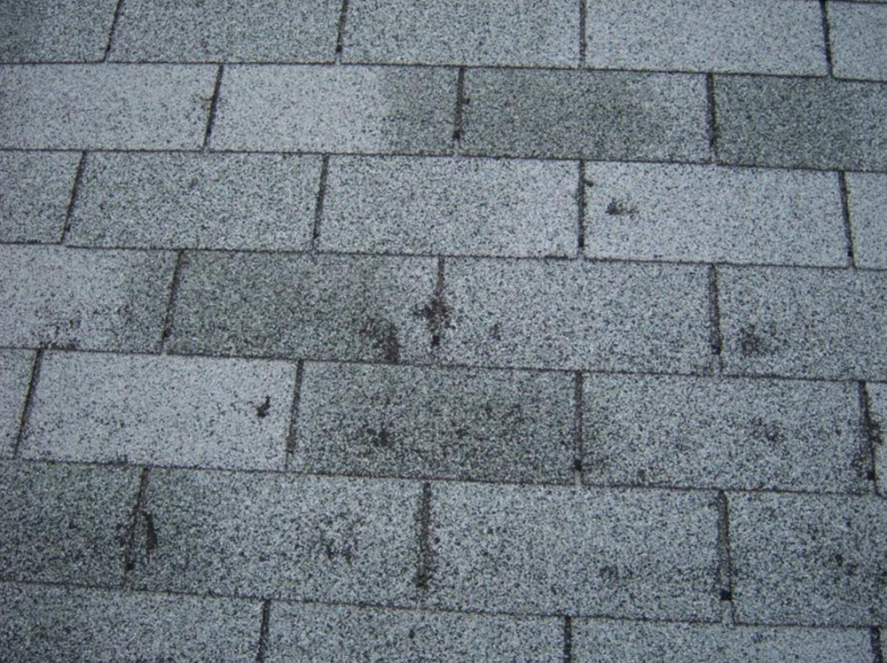 3 Major Signs of Shingle Damage That You Should Know