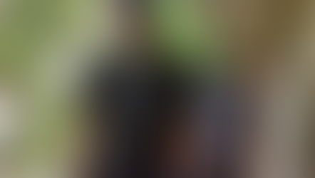 APRIL 2020: Update from Phillip and Clive