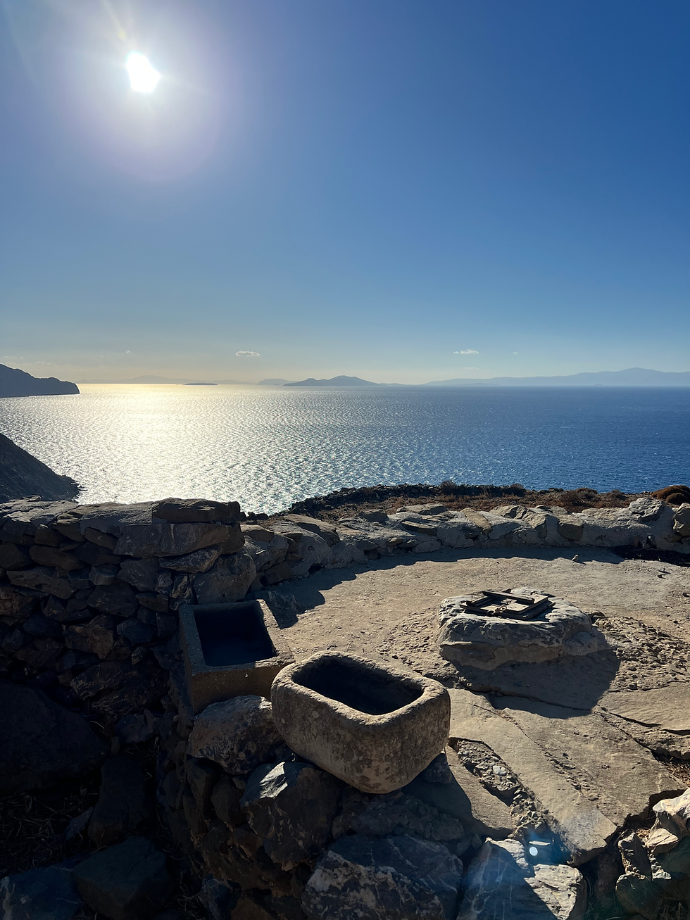 Augmenting Synergies: Australian and Mediterranean Connections