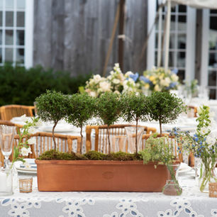 Yellow and blue wedding, gingham, peony, garden roses, garden party, garden wedding, potted plants, espalier, French wire basket, wicker, BBJ La Tavola, tented wedding, sail cloth tent, Sharon, CT, summer wedding 