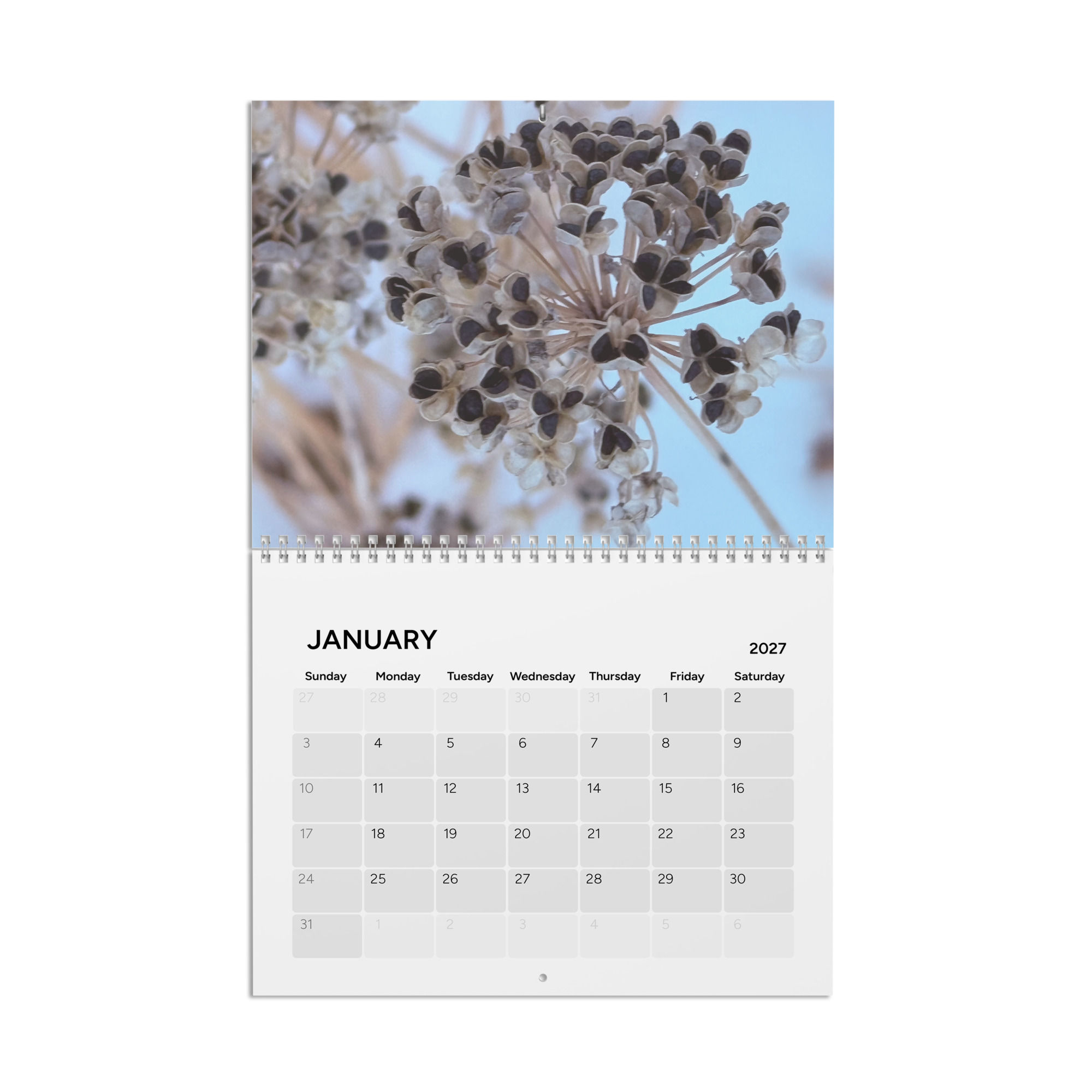 Motz Studios 2027 Forest Wall Calendar