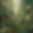 Abstract green modern art