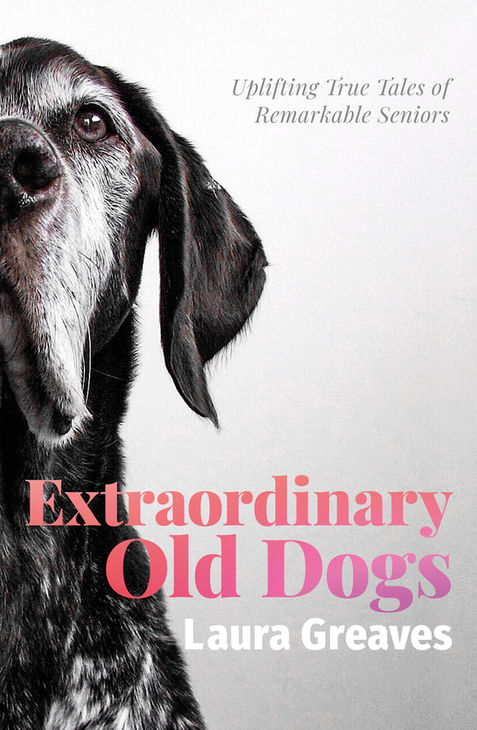 extraordinary-old-dogs-book