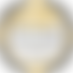 2025 Ecovadis Gold Medal