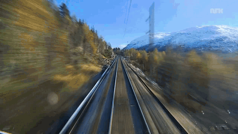 train-gif.gif