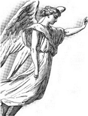 angeli.jpg