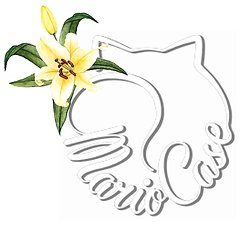 gima.png