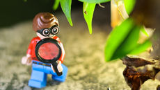 Top 10 Rare and Unique LEGO Minifigures Every Collector Dreams Of