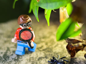 Top 10 Rare and Unique LEGO Minifigures Every Collector Dreams Of
