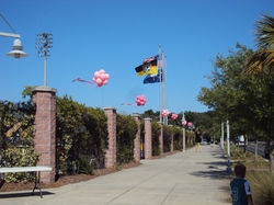 Pom Pom Poles
