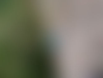 子持山獅子岩クライミング（2018/09/12）