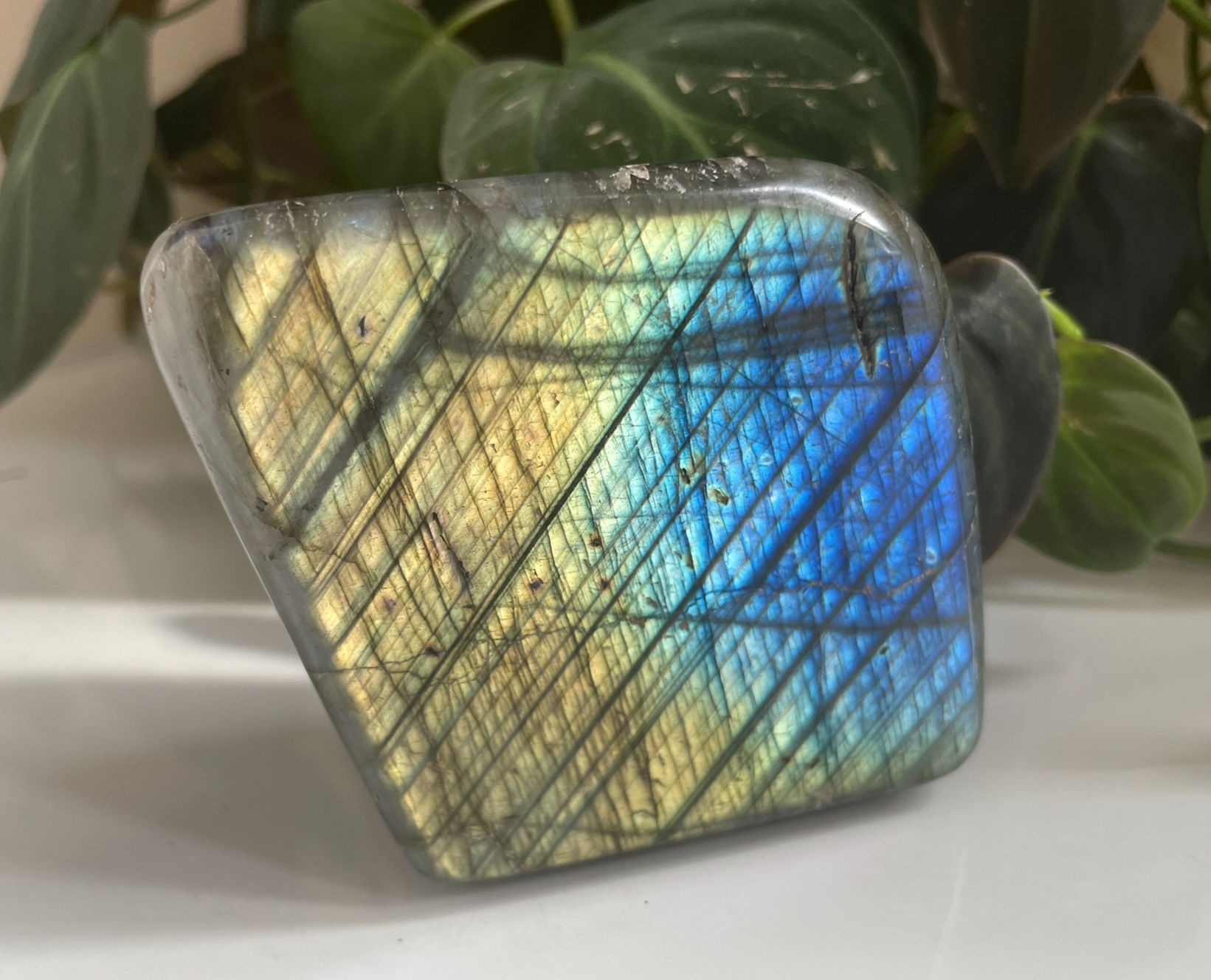 Labradorite Freeform