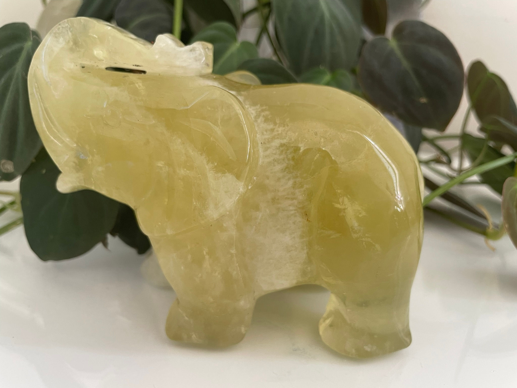 Citrine Elephant