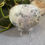 Thumbnail: Dendritic Agate Palmstone