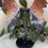Thumbnail: Black Red & White Agate Butterfly Wings with Stand