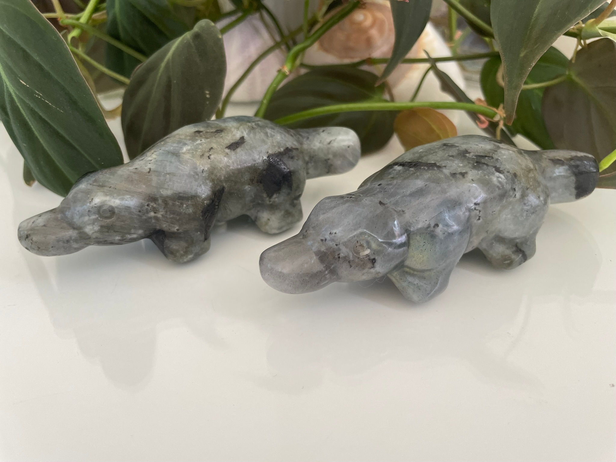 Labradorite Platypus
