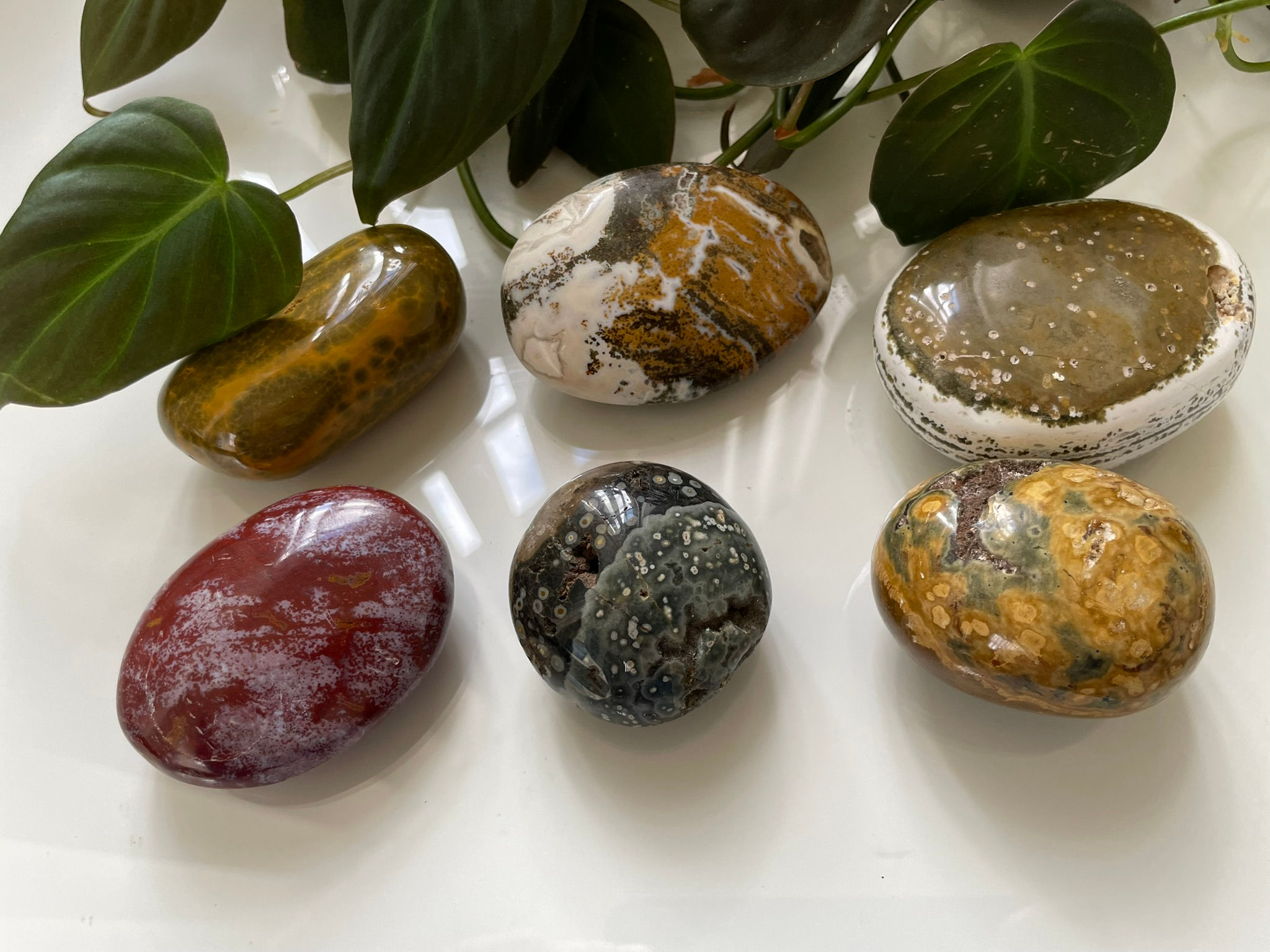 Ocean Jasper Palmstone