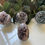 Thumbnail: Grape Agate Sphere