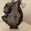Thumbnail: Orthoceras Fossil Sculpture