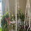 Thumbnail: Suncatchers - Medium