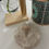 Thumbnail: Mosasaur Tooth Fossil in Matrix