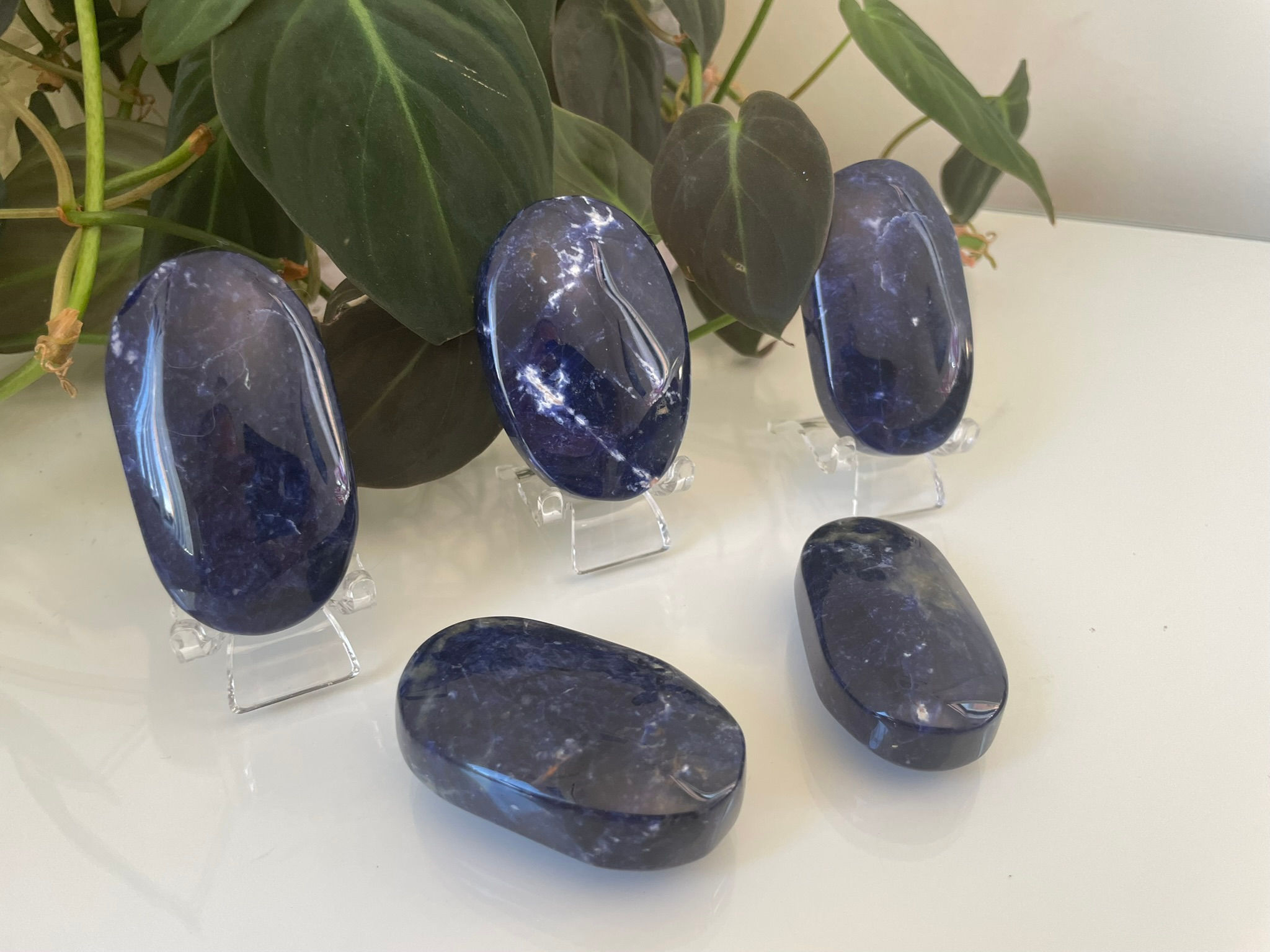Sodalite Palmstone