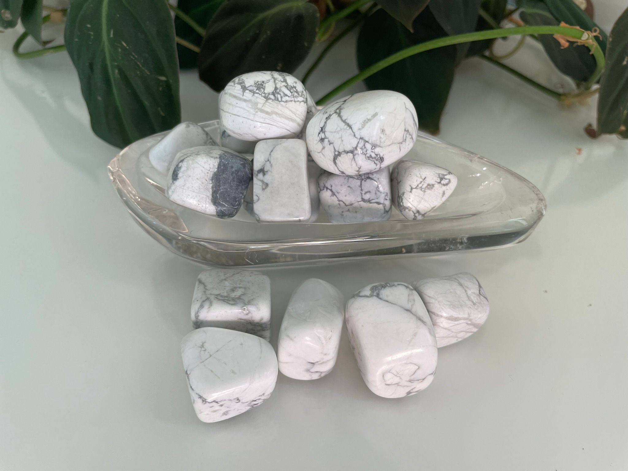 Howlite Tumbles