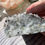 Thumbnail: Quartz & Pyrite Clusters
