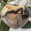 Thumbnail: Septarian (Dragon Stone) Heart