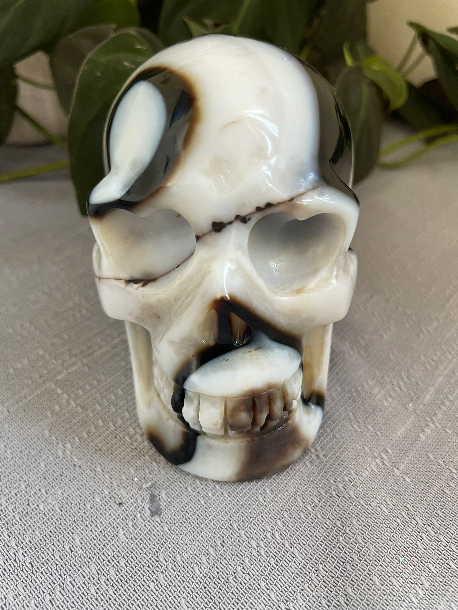 Black Onyx Skull