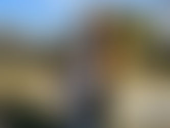 2025/11/23 花博(ビーバー隊)