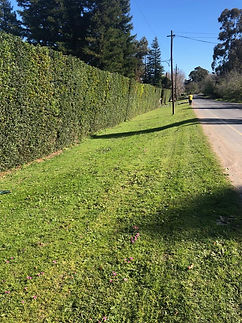 IMG-20190109-WA0064.jpg