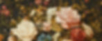 email_banner_image_edited.jpg
