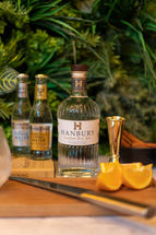 Gin at the Hanbury, independent pub in Angel Islington, London.