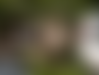 Was ihr Vögel schon immer fragen wolltet