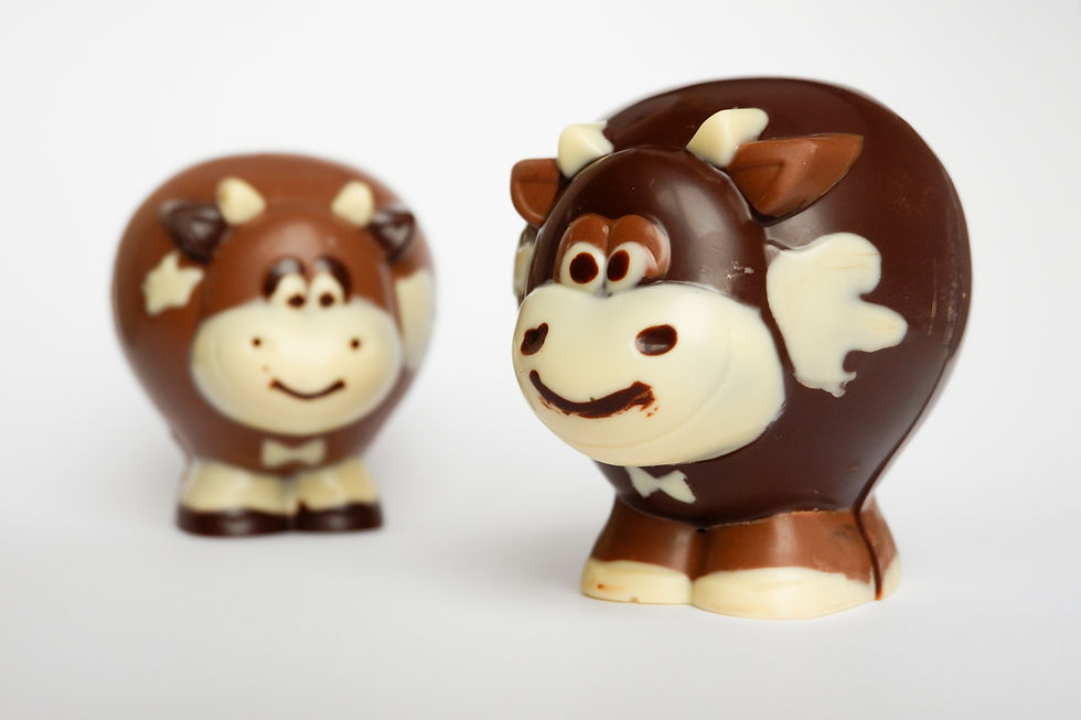 Thumbnail: Bull chocolate