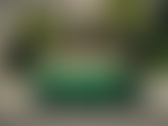 Why Green Geaux Gutters is your Go-To Gutter Expert