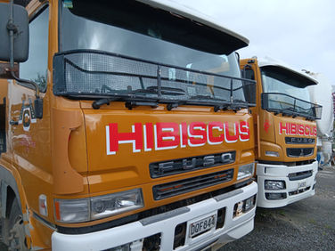 Two Hibiscus Fuso trucks with logo, parking on a cloudy day. Signvillenz Limited.