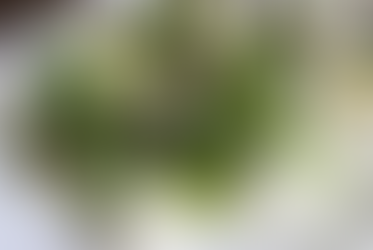 Kraftig middelhavssalat