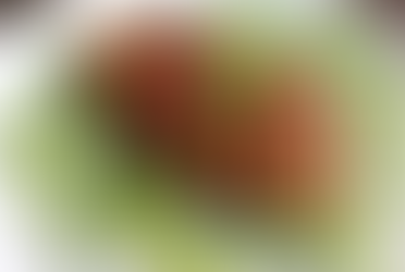 Bakt aubergine med sopp & tomat