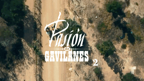 Pasion de Gavilanes Treatment Comp.gif