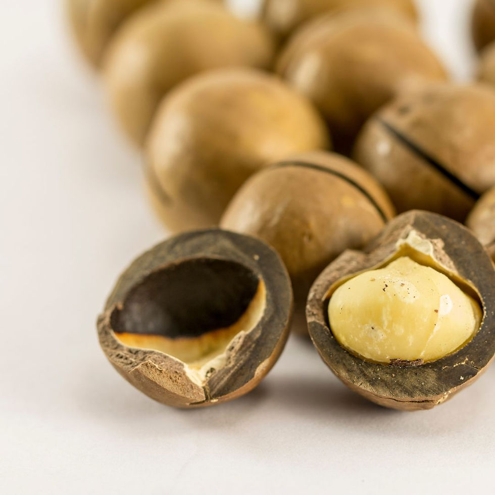 5 Top benefits or advantages of Macadamia Nuts
