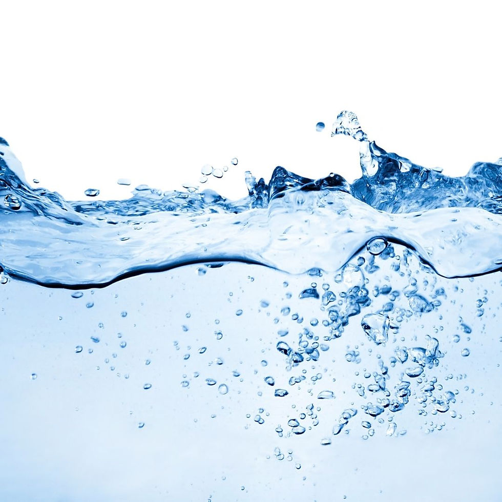 Importance of water, an element to survive