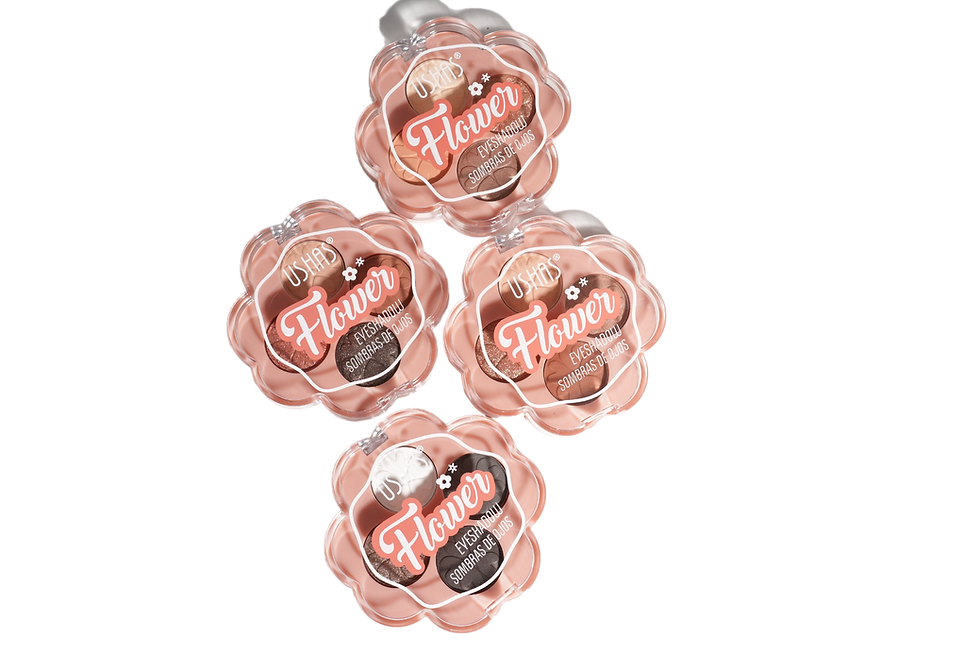 Miniatura: PALETA MINI FLAWER 4 TONOS USHAS