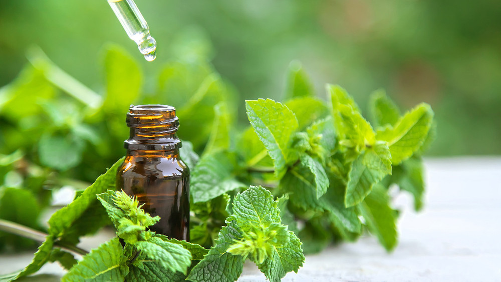 Huile essentielle de menthe poivrée, une incontournable en aromathérapie, soulage les troubles digestifs et bien plus encore (maux de tête, mal des transport, mauvaise haleine,...)