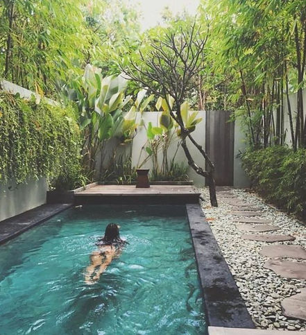 piscina natural 1.jpg