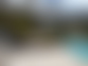 Piscinas Naturales vs. Piscinas Tradicionales: La Elección Sostenible para el Bienestar y la Naturaleza.